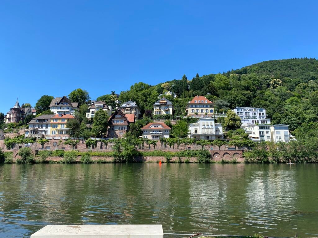 Häuser am Neckarufer in Heidelberg mit bewaldetem Hang im Hintergrund